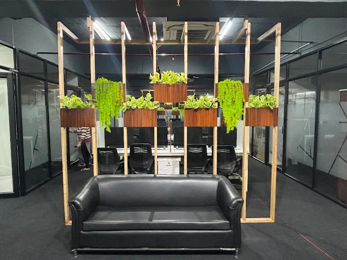 Sector 14, Budanpur, Panchkula, Haryana